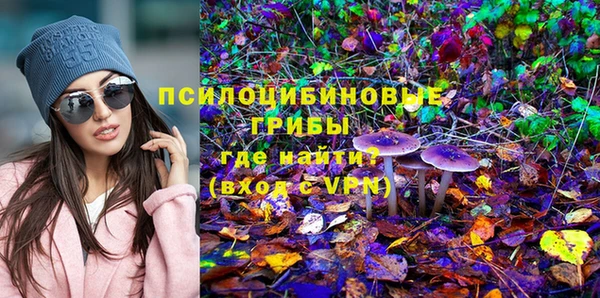 МДПВ Аркадак