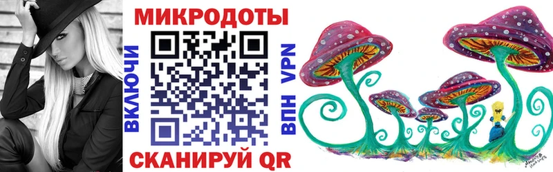 закладка  Оса  OMG зеркало  Галлюциногенные грибы мицелий 