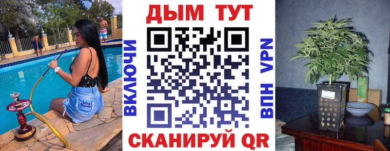 где купить наркоту Оса Шишки марихуана OG Kush